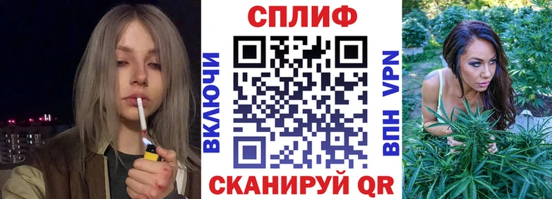 Купить  Волхов  Марихуана MAZAR 